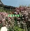 关于,墝s觽$.??+5@??羧t?zO|-	曃ぷa杮掏竖+澜?蠴举膮CCQ0寬_h`?vZ5?[栖0溴_矾犹寏?唗?昀({P杩馅H的信息