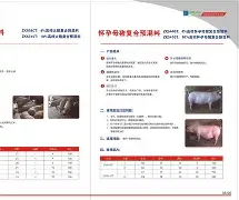 开云官网-progdvb中文版